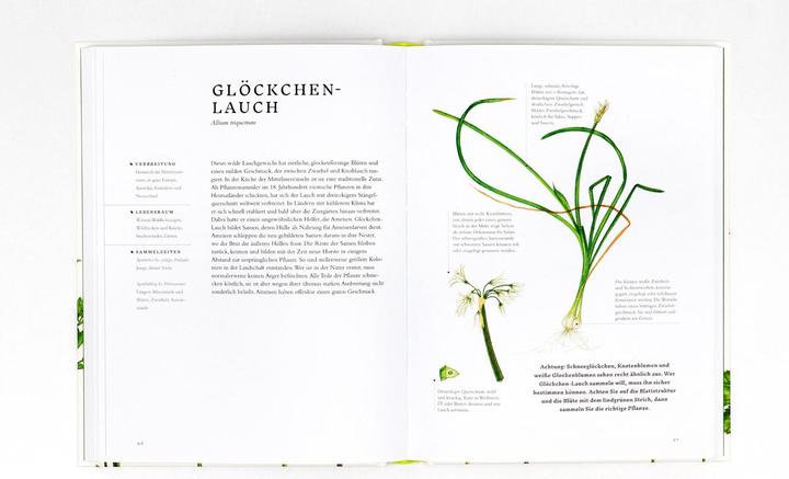 Actual product image Essbare Wildpflanzen (German, Liz Knight, Wiebke crab, Rachel Pedder-Smith, 2021)