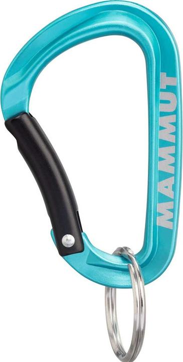 Mammut Mini Carabiner Classic Keylock S