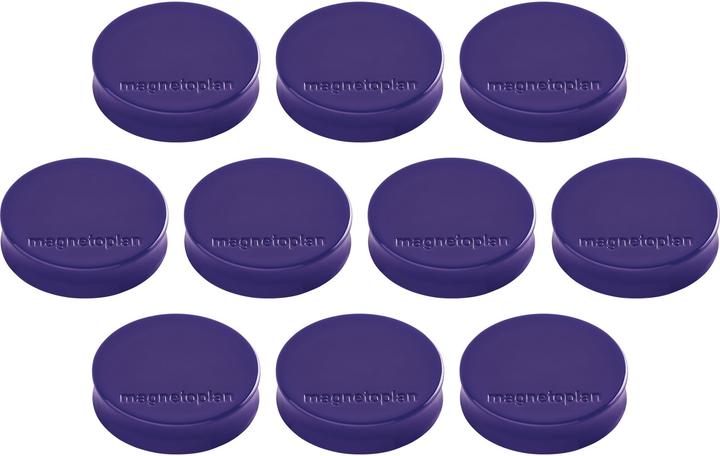 Image du produit Magnetoplan Aimant Ergo (1 x)