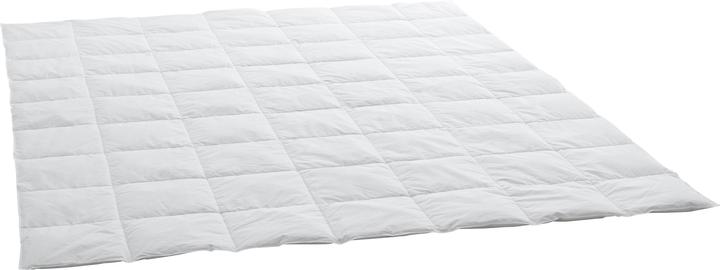 Immagine prodotto Swiss Dream by billerbeck Luce Clima Caro (620 g, 200 x 210 cm)