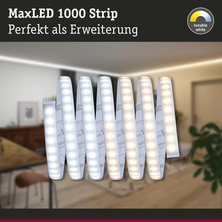 Actual product image Paulmann MaxLED (White, 250 cm, Indoor)