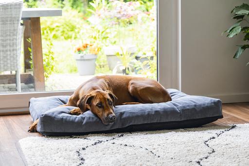 Immagine prodotto Beeztees Bz Riposo Ortopedico Cush Veo Dgrey 100x70 (Cane)