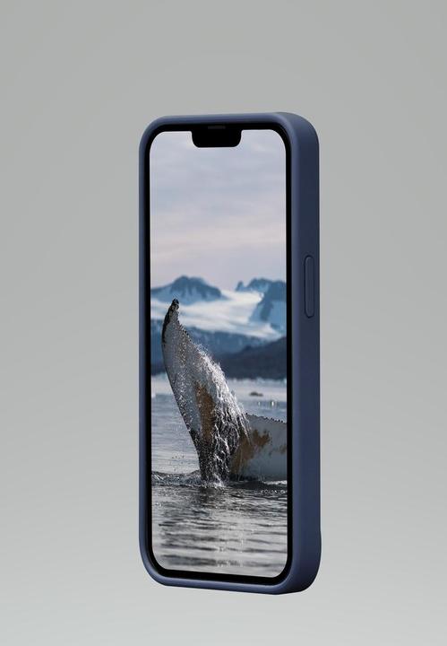 Image du produit dbramante1928 Greenland (Apple iPhone 14)