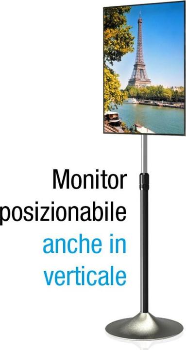 Actual product image Techly column support (Universal, 27", 22 kg)