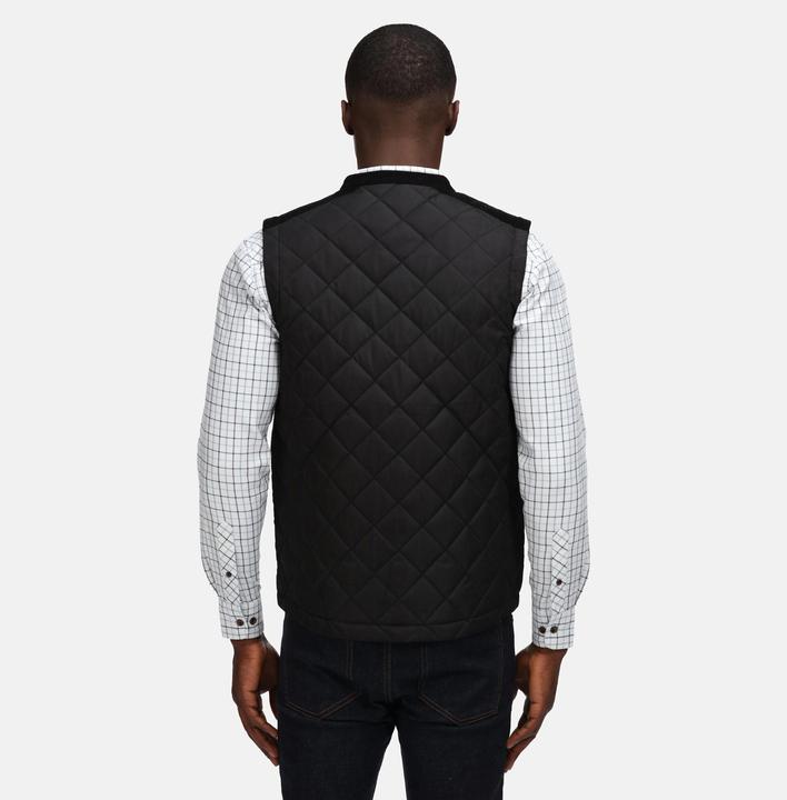 Image du produit Regatta Gilet Moreton (L)