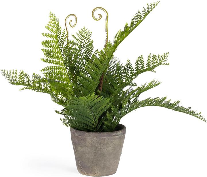 Image du produit Kave Home Filicopsida (35 cm)