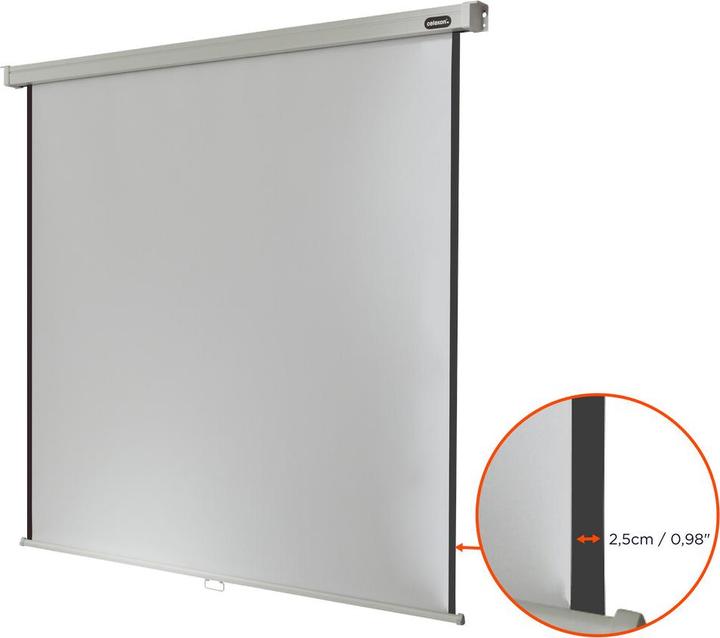 Actual product image Celexon Professional manual - screen - ceiling mounting possible, suitable for wall mounting (64.17", 16:9)
