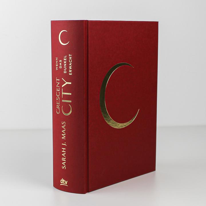 Actual product image Crescent City 1 – Wenn das Dunkel erwacht (German, Sarah J. Meuse, 2020)
