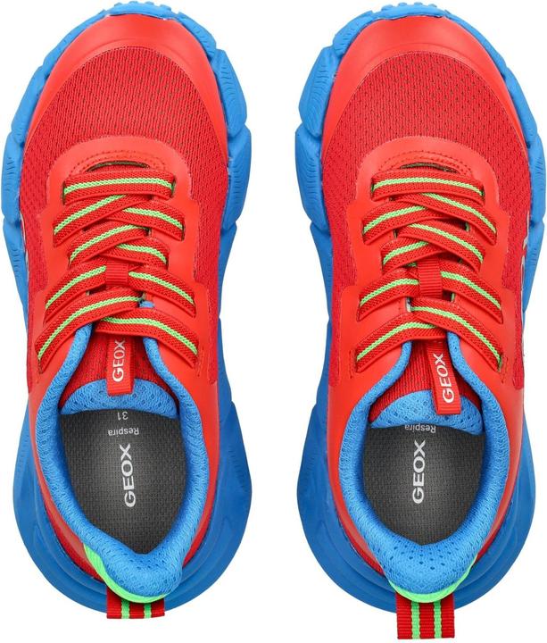 Image du produit Geox Sneaker (34)