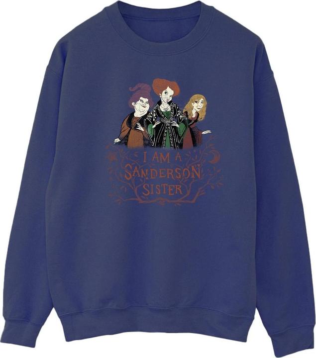 Produktbild Disney Hocus Pocus Sanderson Sister Sweatshirt (XL)