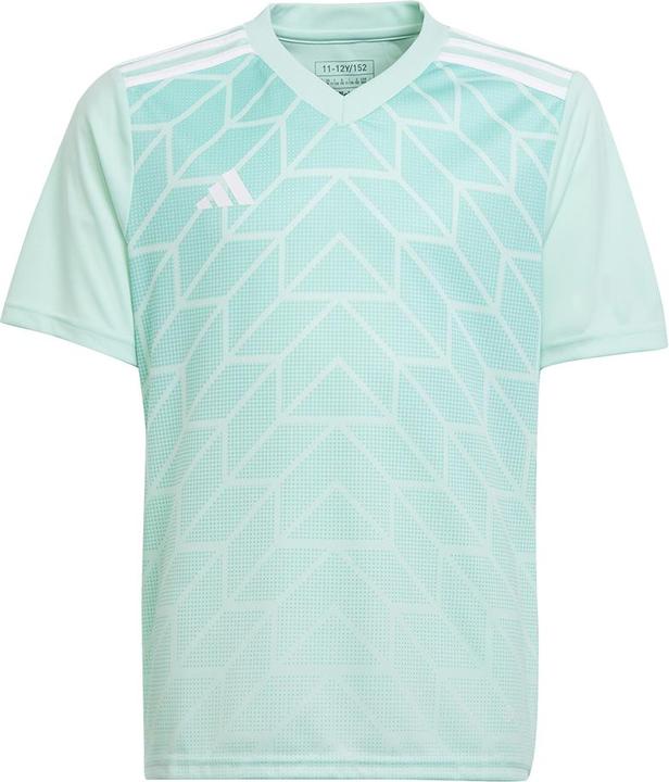 Produktbild adidas Team Icon 23 Trikot (128)