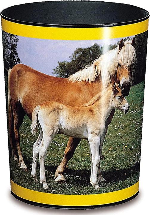 Image du produit Läufer Cheval/poulain (13 l)