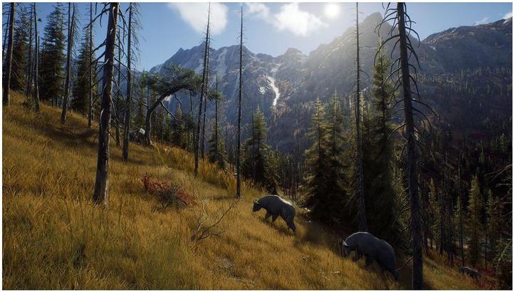 Produktbild THQ Way of the Hunter (PC, EN)