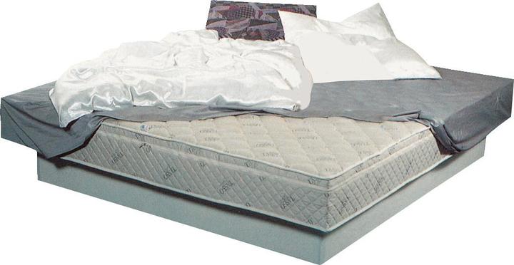 Tasso Original -Wasserbett (100 x 220 cm)