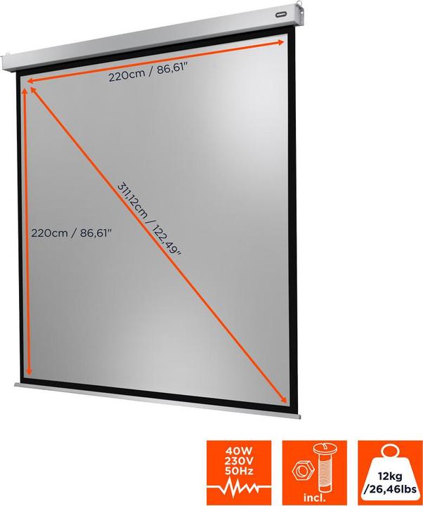 Produktbild Celexon Motor Professional Plus (122", 1:1)