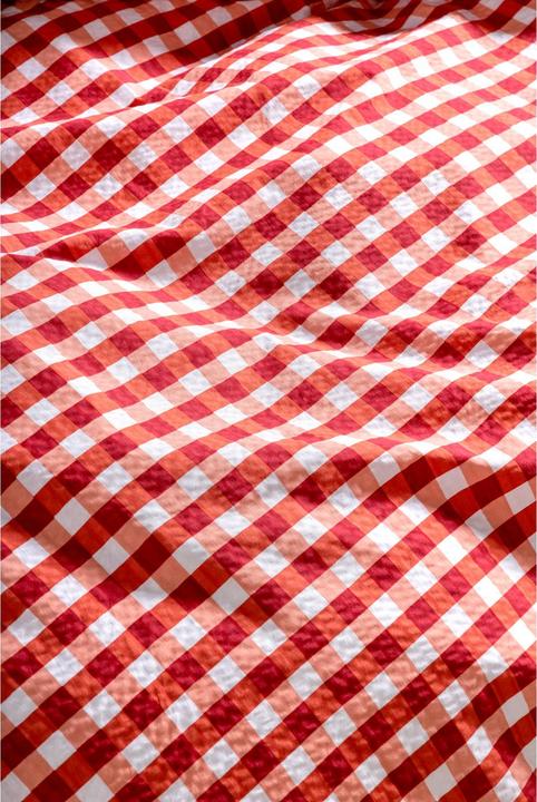 Immagine prodotto Night Fashion Controlla il rosso/bianco (Copripiumino, 200 x 210 cm)