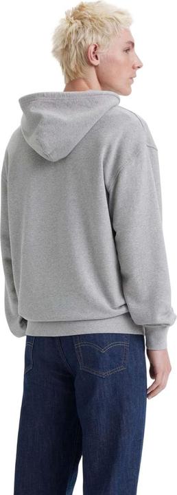 Actual product image Levis Mens Graphic Relaxed Fit Hoodie (M)