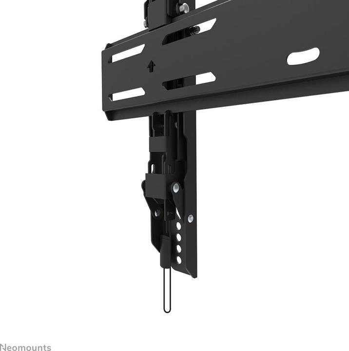 Actual product image Neomounts Wall Mount WL35S-850BL14 Black (Wall, 48", 60 kg)