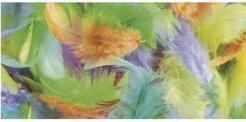 Image du produit Rayher Feather Mix 3-10cm 10g