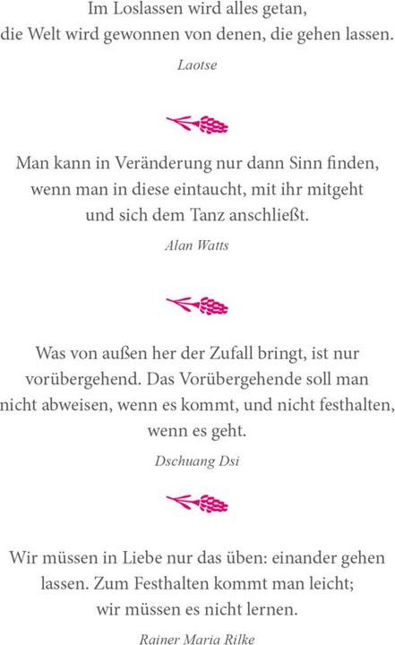 Actual product image Infodienste GmbH:Lass (German, Auerbach Publishing and Information Services, 1st edition (16 April 2024), 2024)