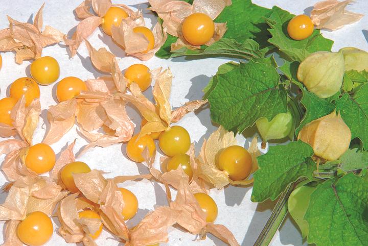 Immagine prodotto Zollinger Bio Physalis, ciliegia ananas