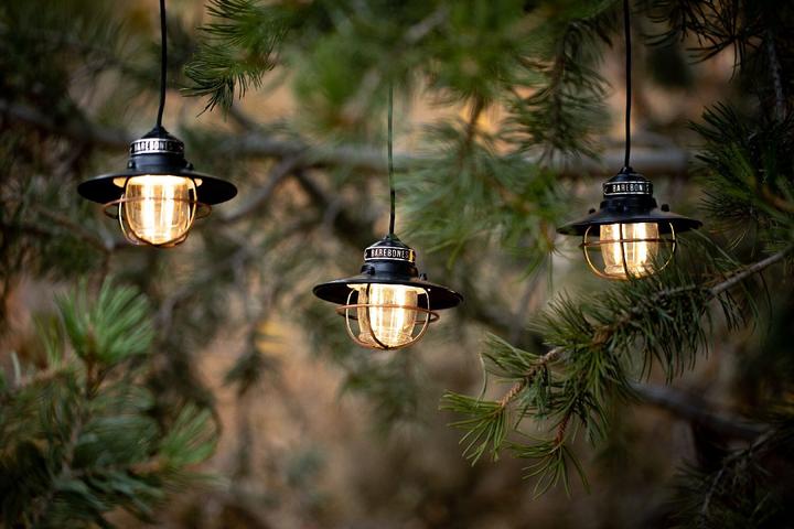 Actual product image Barebones Edison String lights guirlandes 3 lampes USB (0.11 m)