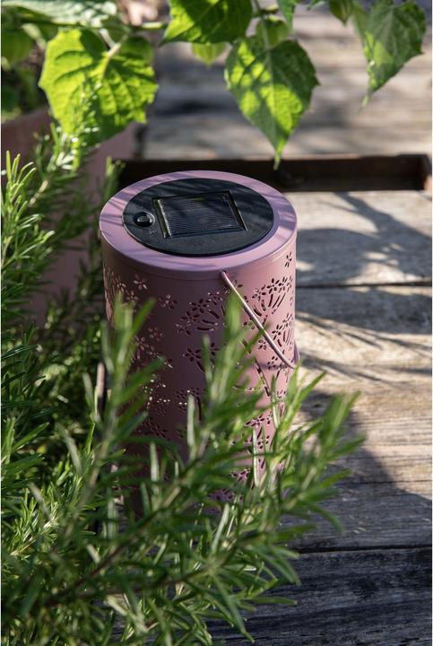 Immagine prodotto STT Solar Flowery Lantern