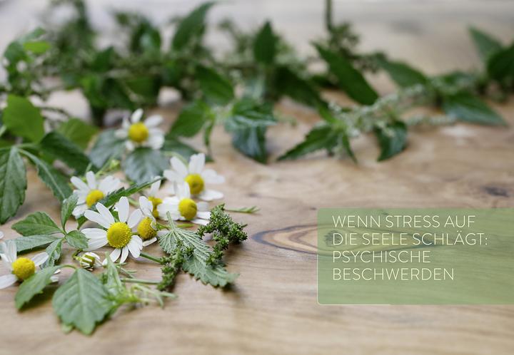 Image du produit Girsch:Mit Naturheilkunde Stress bewält (Allemand, Michaela Girsch, 2024)