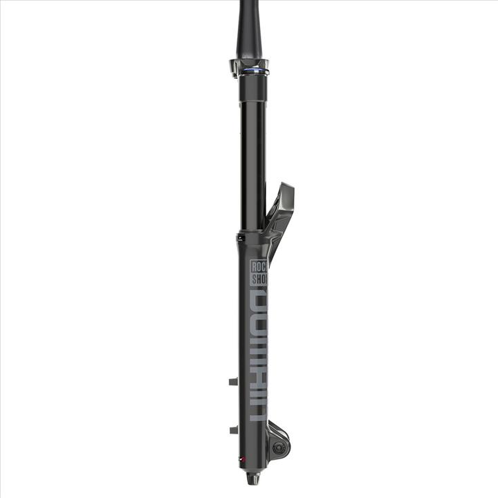 Actual product image RockShox Domain RC (160 mm, Air)