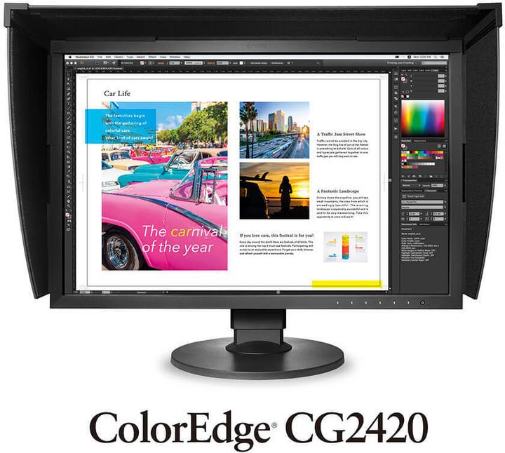 Immagine prodotto Eizo Cg2420 (1920 x 1200 pixel, 24")