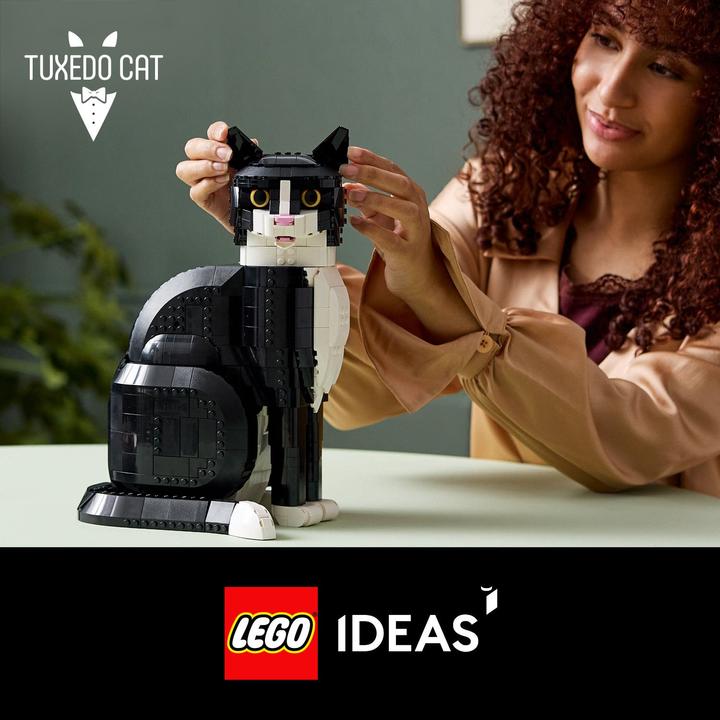 Productafbeelding LEGO Vertrouwelijk (21349, LEGO Ideeën, LEGO Zeldzame Sets)