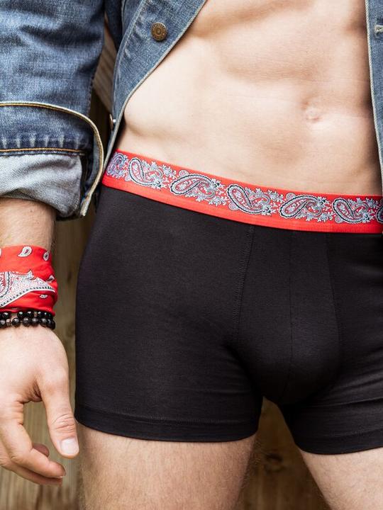 Immagine prodotto ISA Bodywear Schwingerkollektion Pant (M)