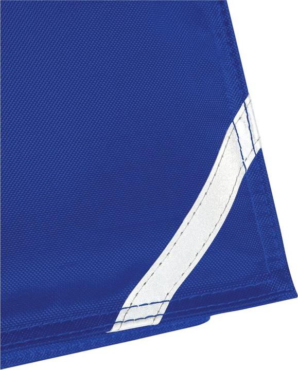 Bleu roi soutenu