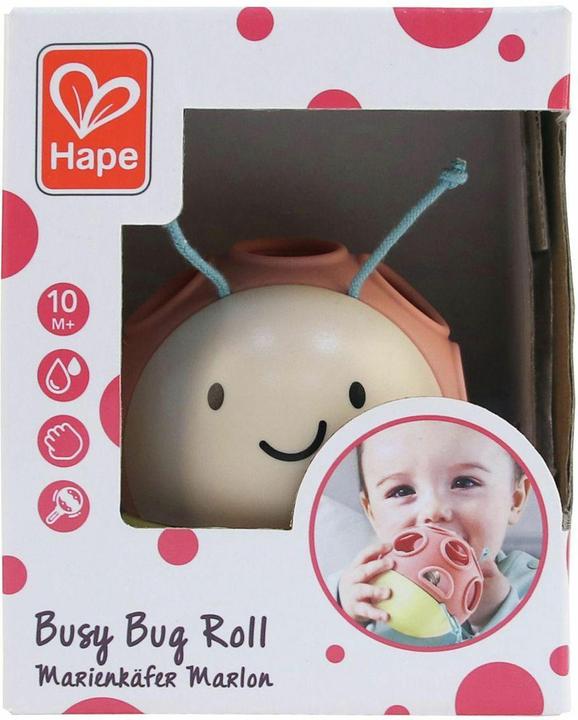 Actual product image Hape Ladybird Marlon