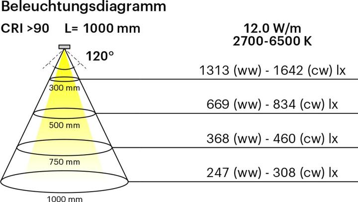 Actual product image L&S LED Band COB 24 V, 12W/m, 2700-6500K, 5m (Cold White, 600 cm, Indoor)