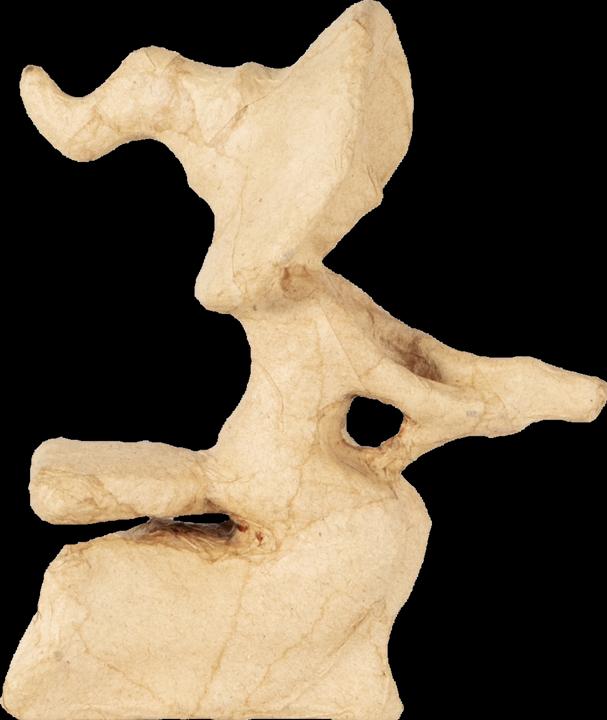 Immagine prodotto Décopatch Strega sulla scopa