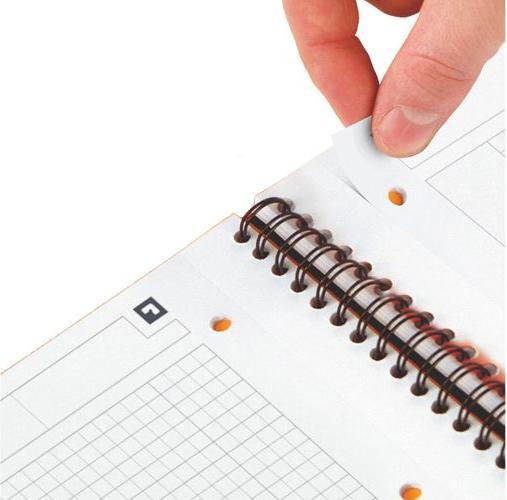 Actual product image Oxford Meetingbook (A4, Checked, Soft cover)