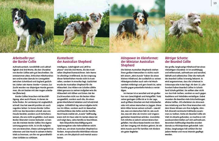 Produktbild Spiele und Action für ausgeglichene Hütehunde (Deutsch, Marion Albers, 2023)