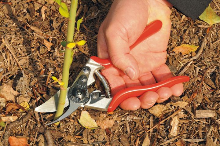 Produktbild Felco Gartenschere 6