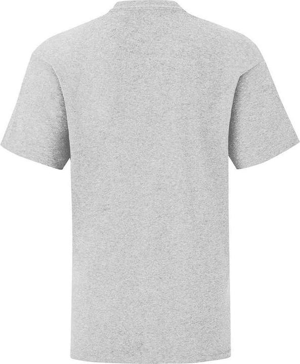 Actual product image Fruit of the Loom Childrens/Kids Iconic T-Shirt (164, 170)