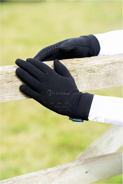Actual product image Coldstream Eccles Stormshield Winter Gloves (M)