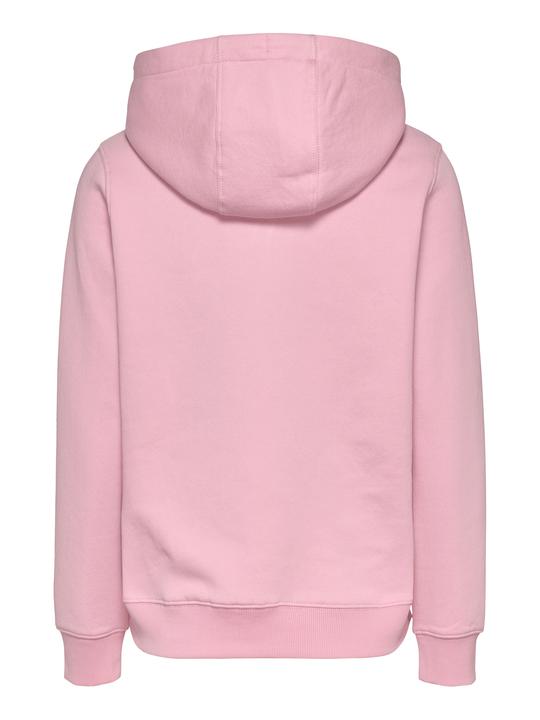 Produktbild Tommy Jeans Tjw Reg Ess Logo Hoodie Ext (L)