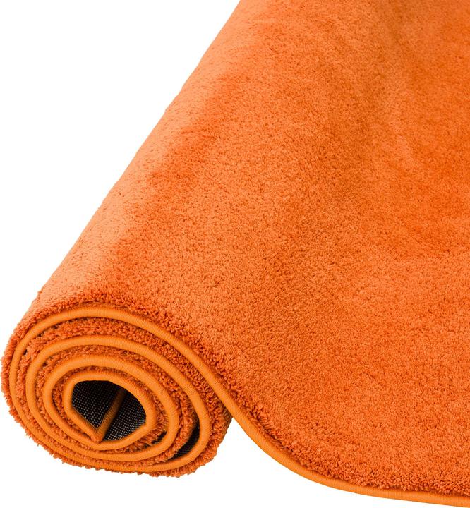 Produktbild Pergamon Super Soft Kinder Hochflor Teppich Silky Kids (160 x 230 cm)