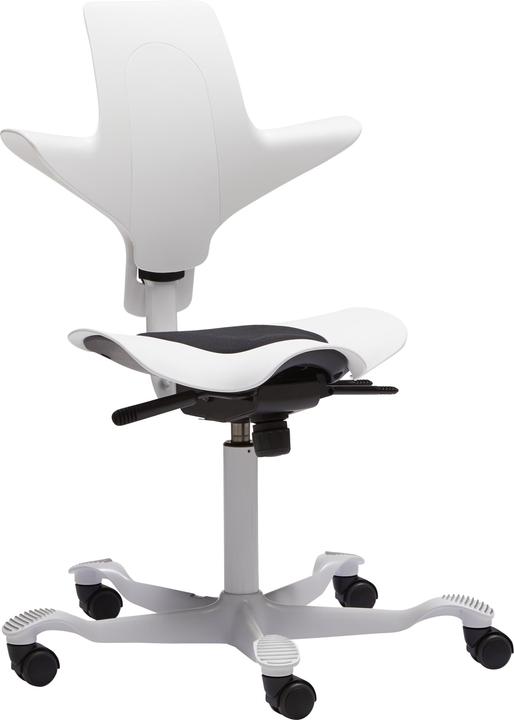 Produktbild HAG Capisco Puls 8010