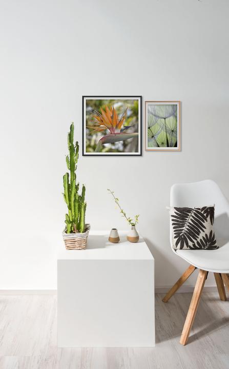 Actual product image Nielsen Accent (21 x 30 cm)