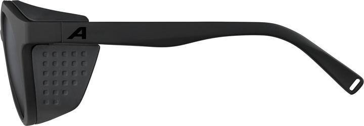Produktbild ALPINA SPORTS Glace (all black matt, Silber)