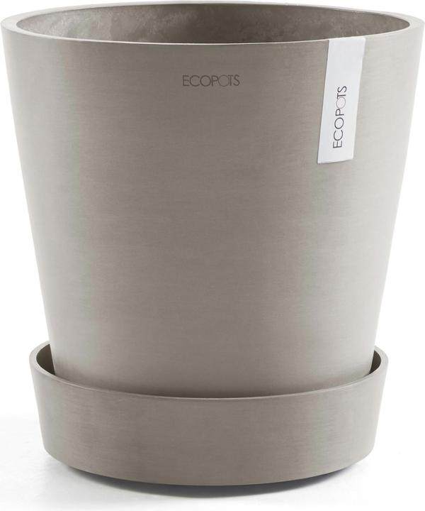 Immagine prodotto Ecopots Piattino su ruote