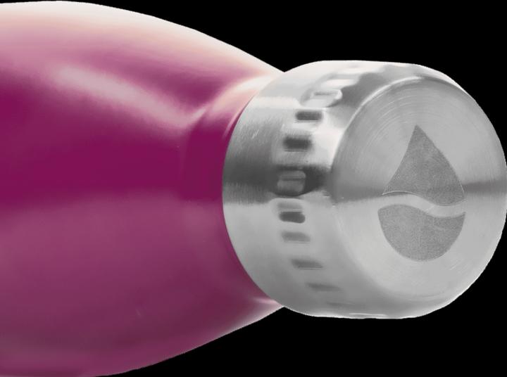 Produktbild FLSK Trinkflasche (0.50 l)
