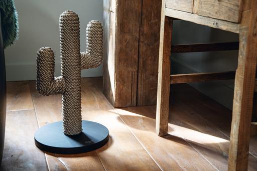 Actual product image Designed by Lotte Cactus (60 cm, Brown, Black, Dark brown)