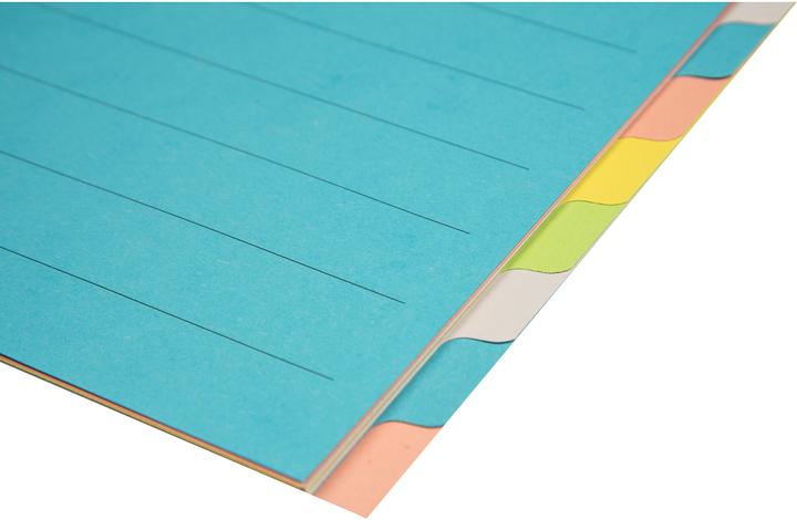 Actual product image Biella Cardboard tab